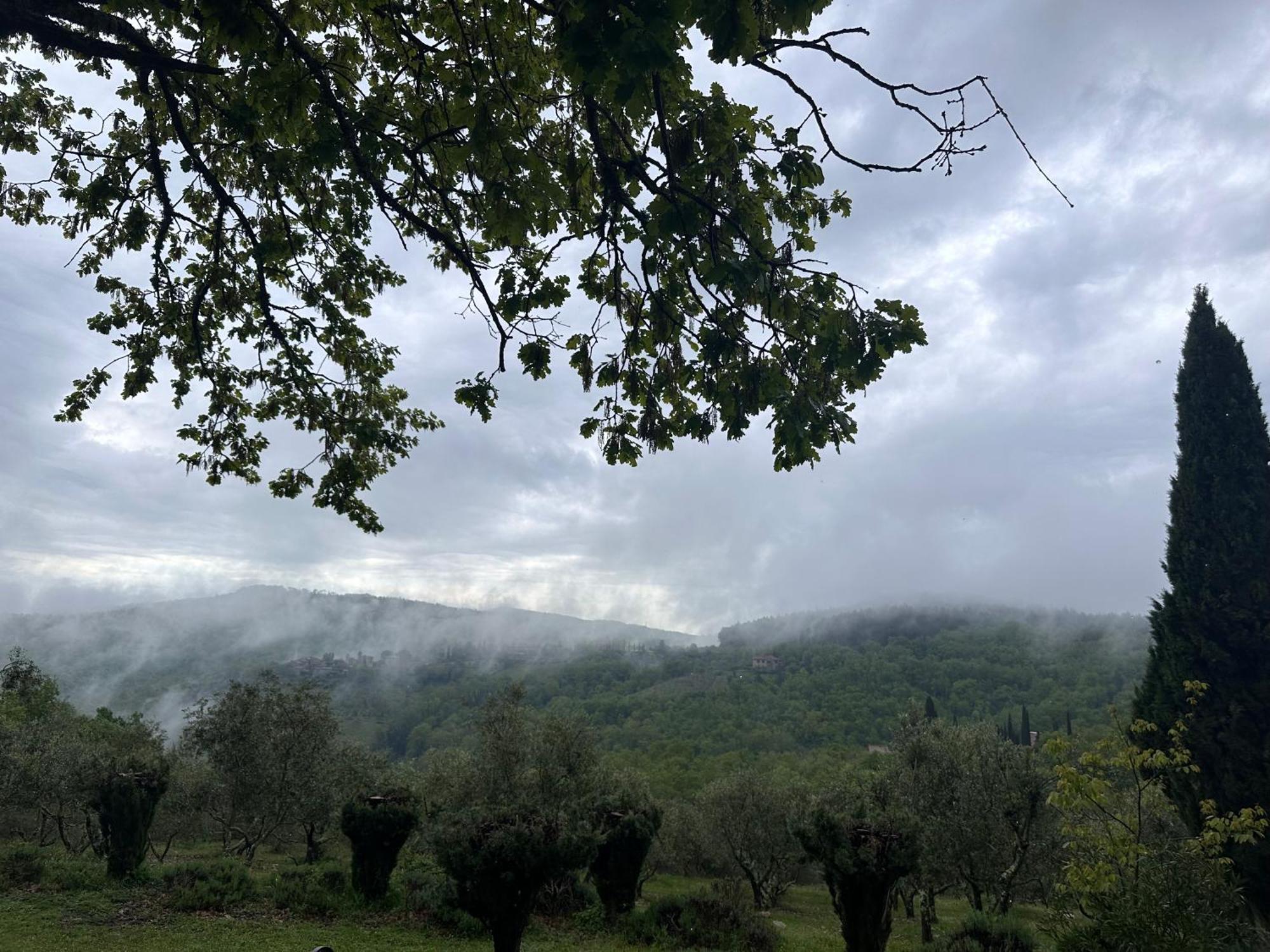Podere Sagna Castellina in Chianti Buitenkant foto