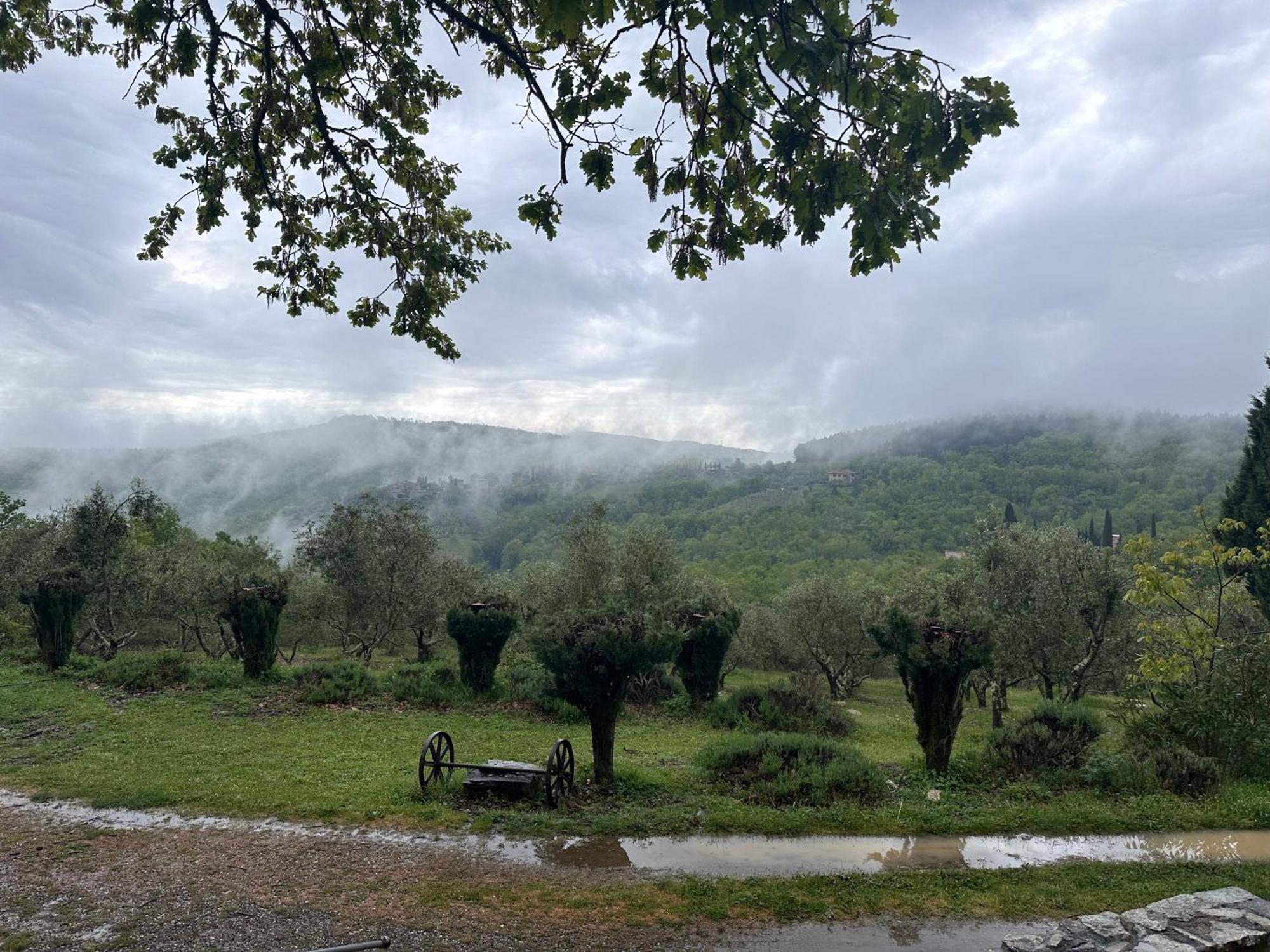 Podere Sagna Castellina in Chianti Buitenkant foto