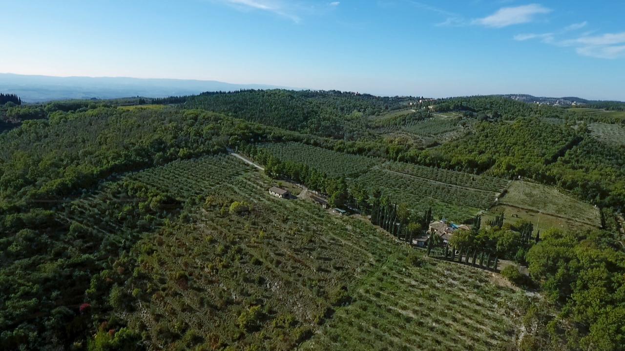 Podere Sagna Castellina in Chianti Buitenkant foto