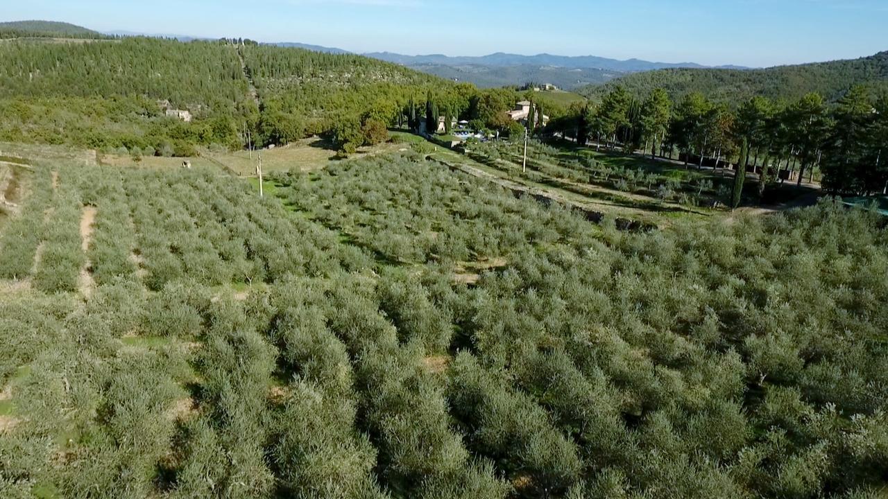 Podere Sagna Castellina in Chianti Buitenkant foto